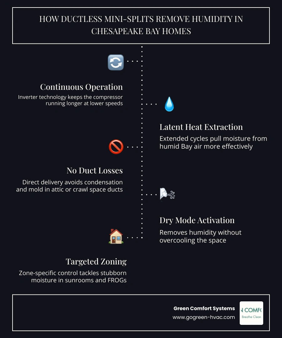 How ductless mini-splits extract moisture from humid Chesapeake Bay area home air infographic How ductless mini-splits extract moisture from humid Chesapeake Bay area home air infographic