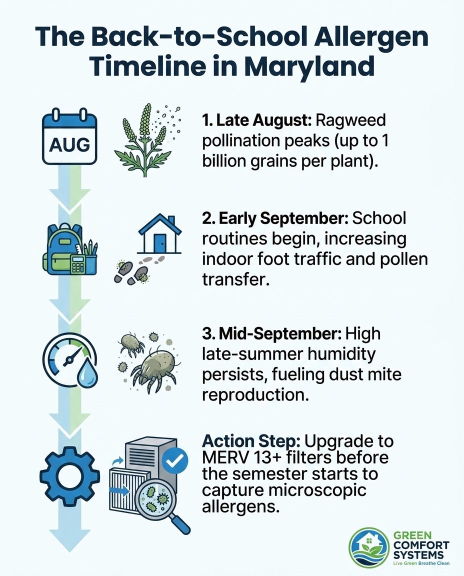 The Back-to-School Allergen Timeline in Maryland