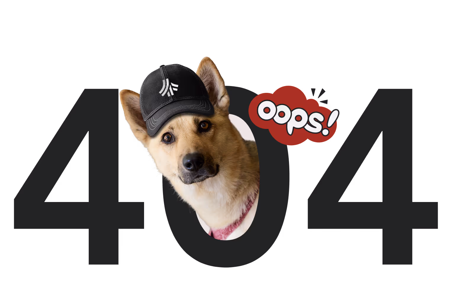 404 Image featuring Cali the Teambridge Office Dog