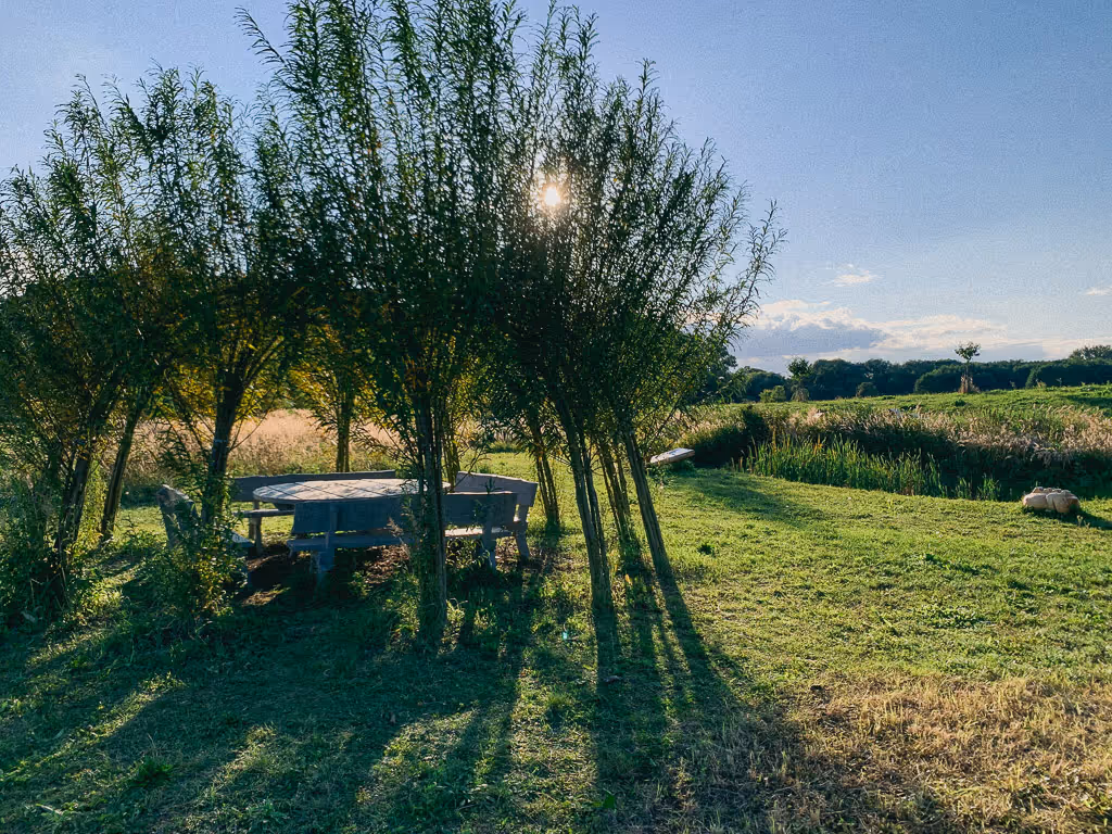 Vrbový altán v přírodní zahradě na Huslíku