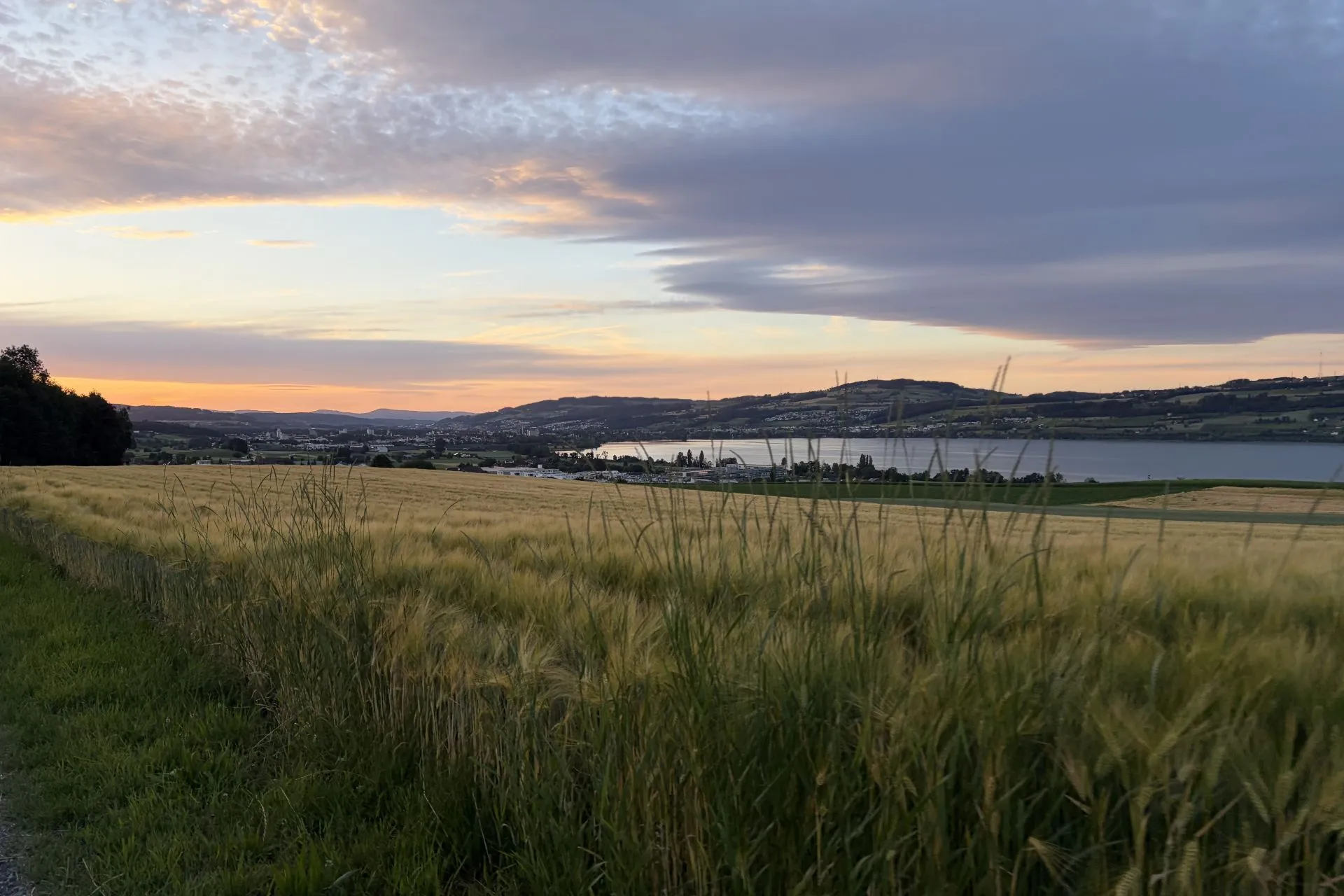 Blick über grüne Wiesen und See im Hintergrund