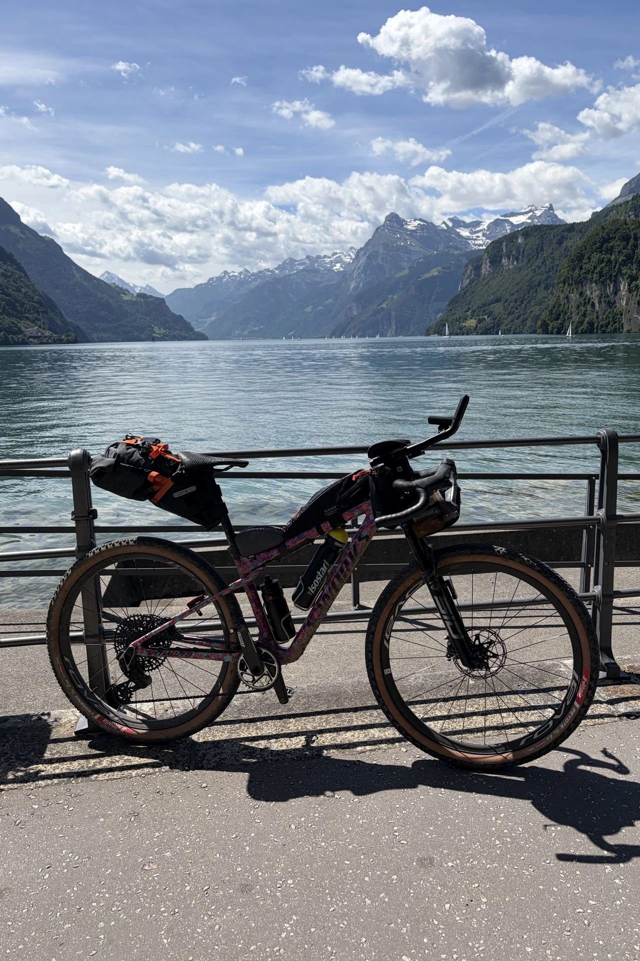 Specialized Epic World Cup - Bike von Roman für das Hope 1000