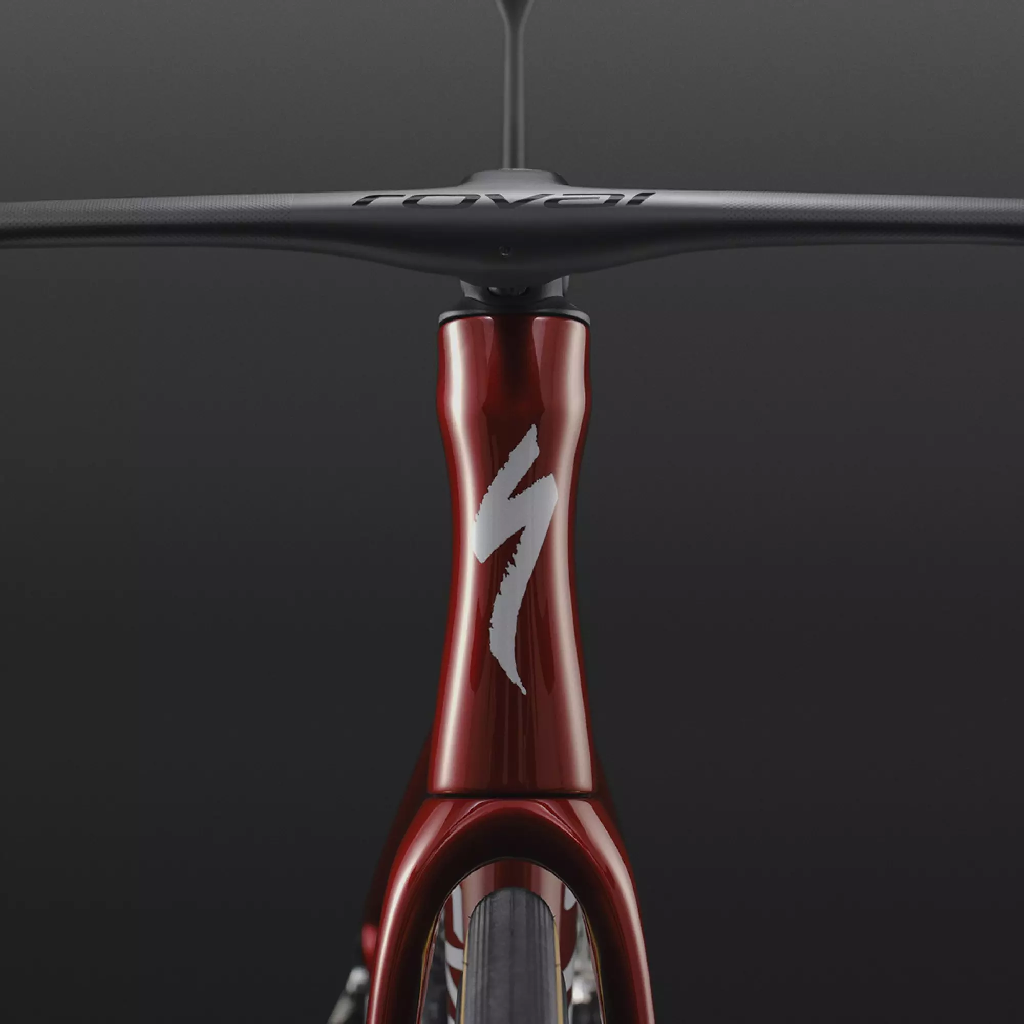 Specialized S-Works Tarmac SL9 Speed Sniffer