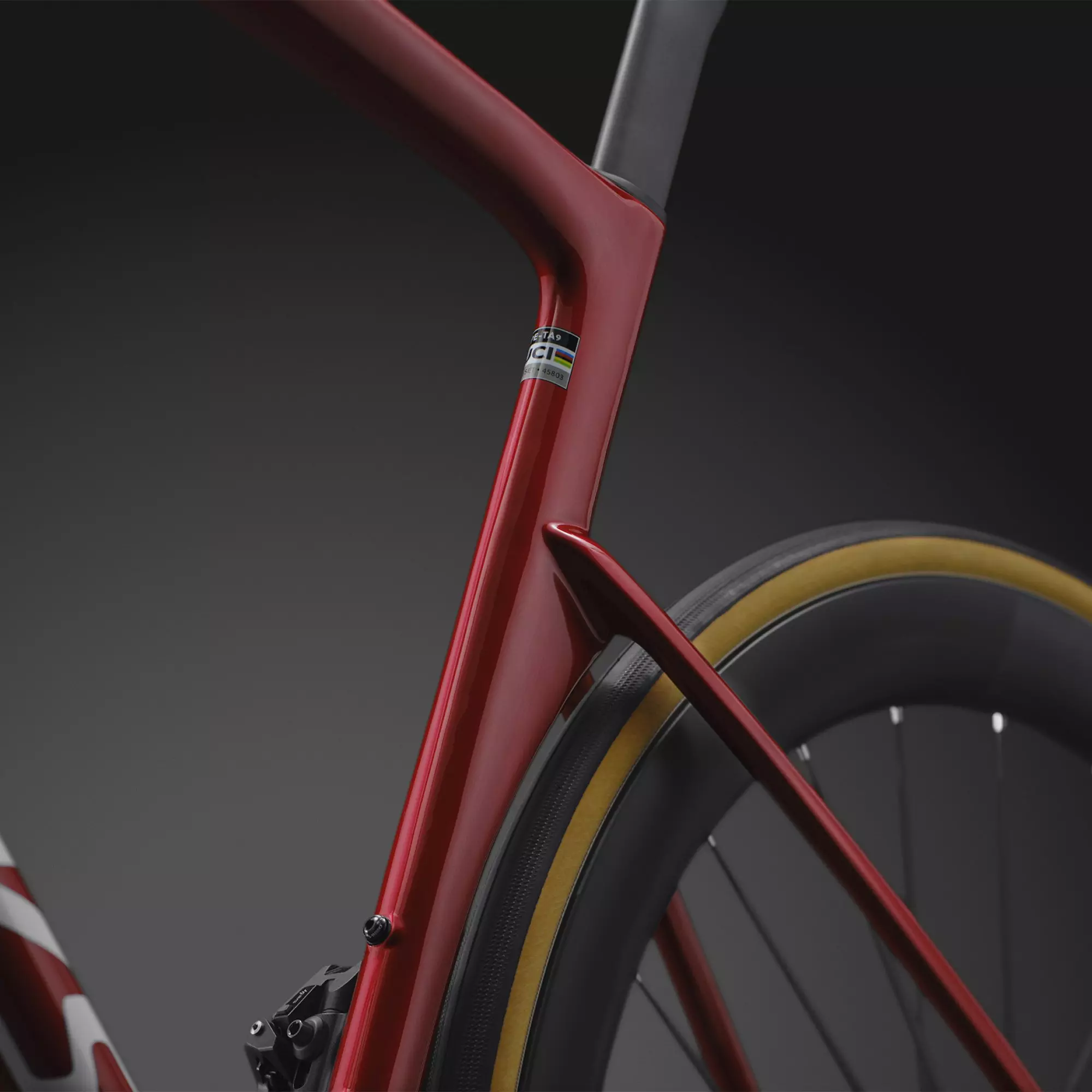 Specialized S-Works Tarmac SL9 Win Fin