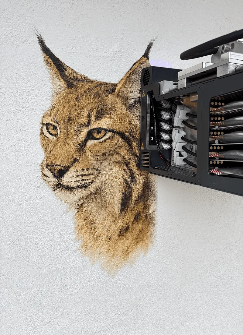 Detailliertes Wandbild eines Luchskopfes, das von einem Druckgerät an einer Wand erstellt wird.