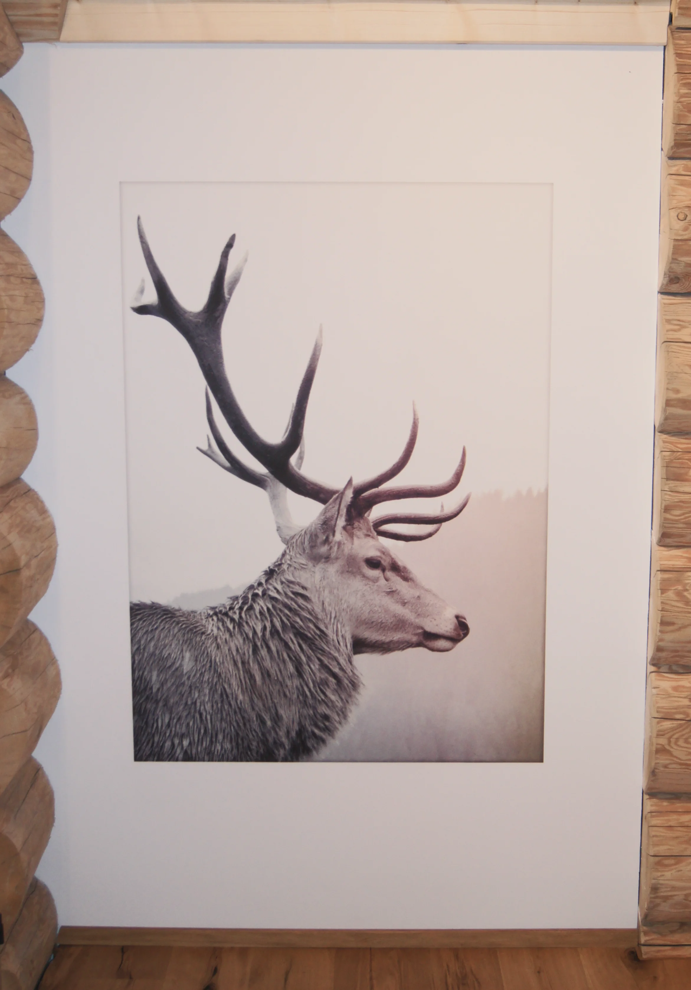 Schwarz-weiß-Foto eines Hirsches im Profil mit großen Geweihen, gerahmt an einer weißen Wand in einem Raum mit Holzwänden.