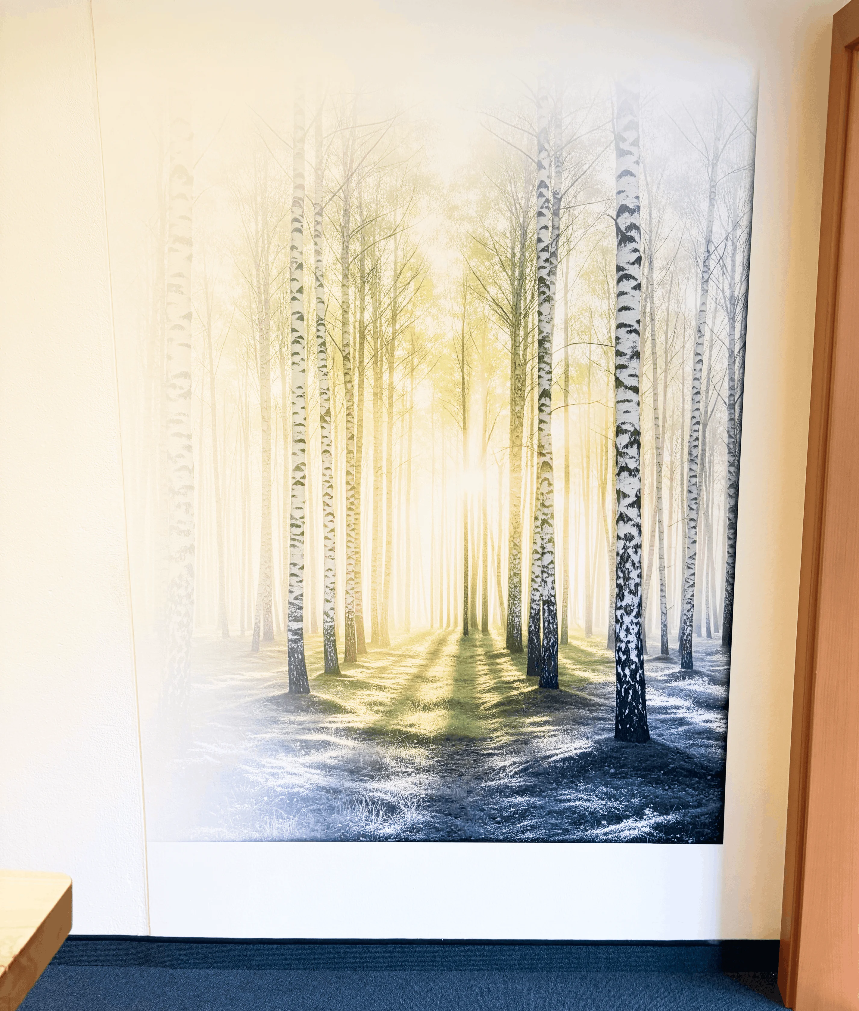 Wandbild eines Birkenwaldes mit Sonnenlicht, das durch die Bäume scheint, in einem Raum mit blauem Teppichboden.