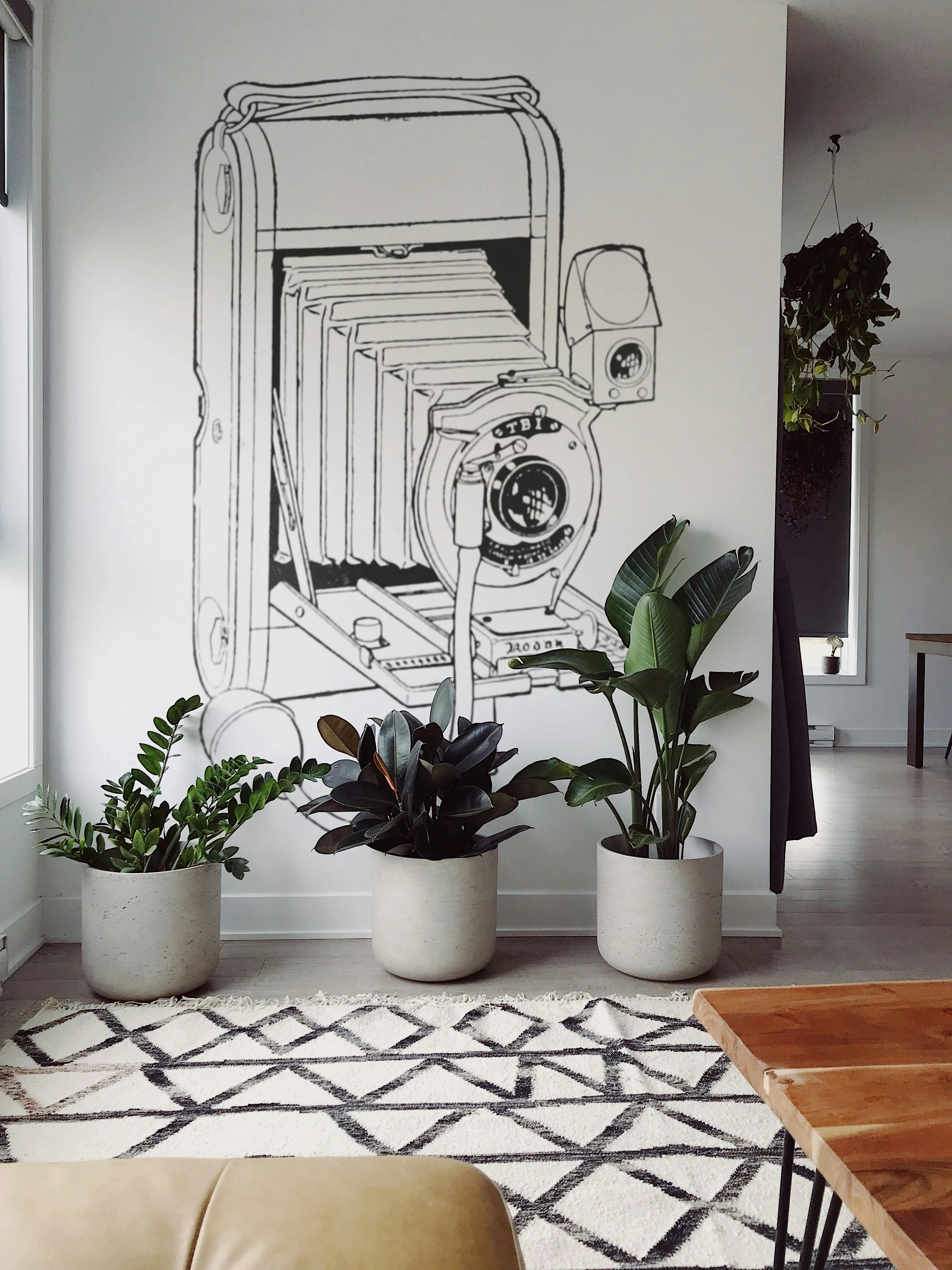 Moderne Wohnzimmereinrichtung mit drei großen Topfpflanzen vor einer Wand mit einer großen Vintage-Kamera-Wandzeichnung.