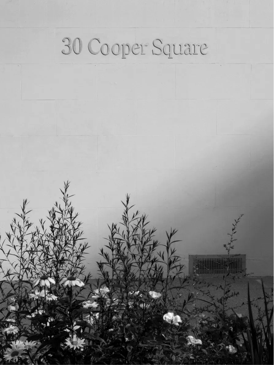 30 Cooper Square sign above plants, in black and white