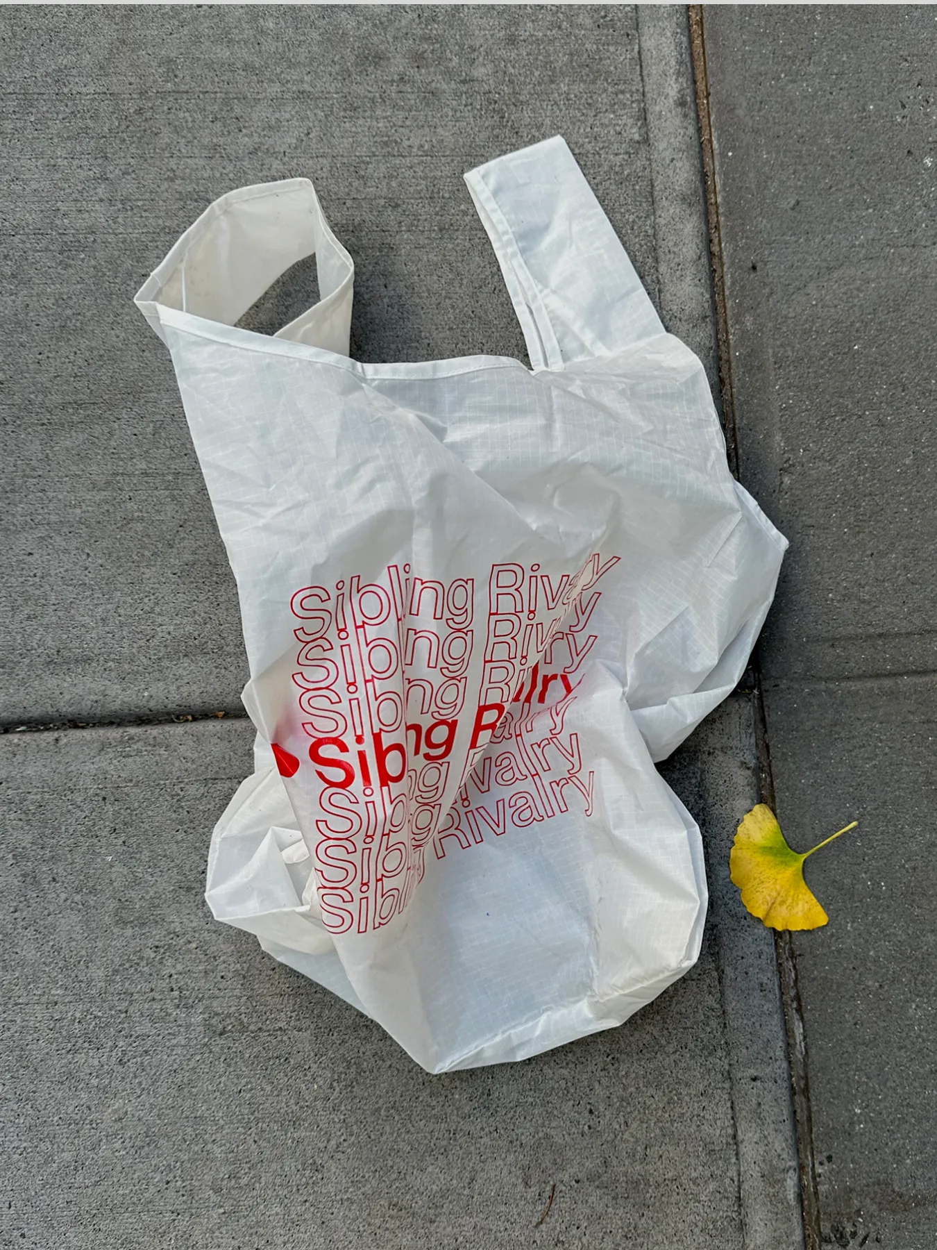 White plastic bag printed with Sibling Rivalry in red, on a sidewalk