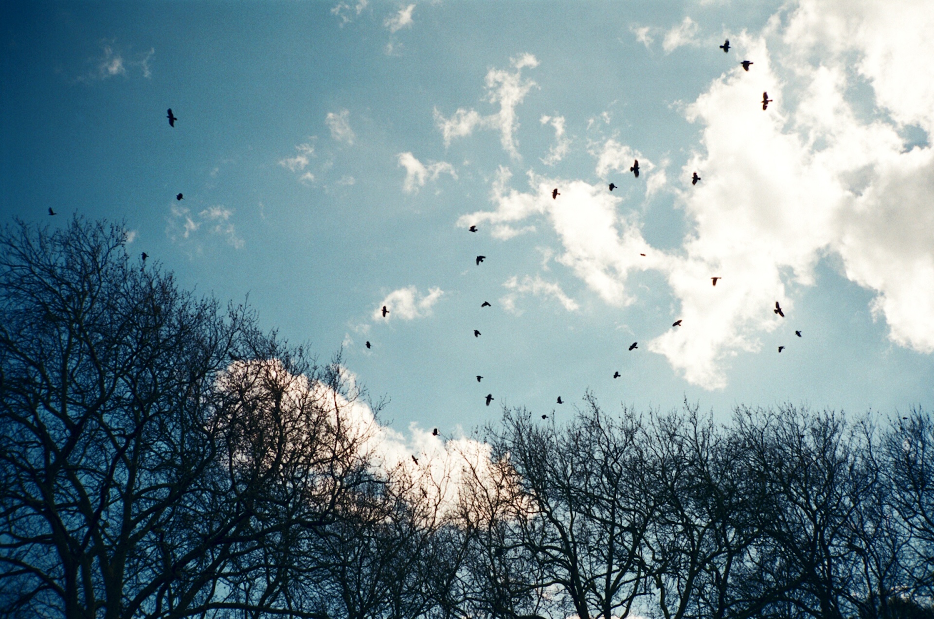 places
