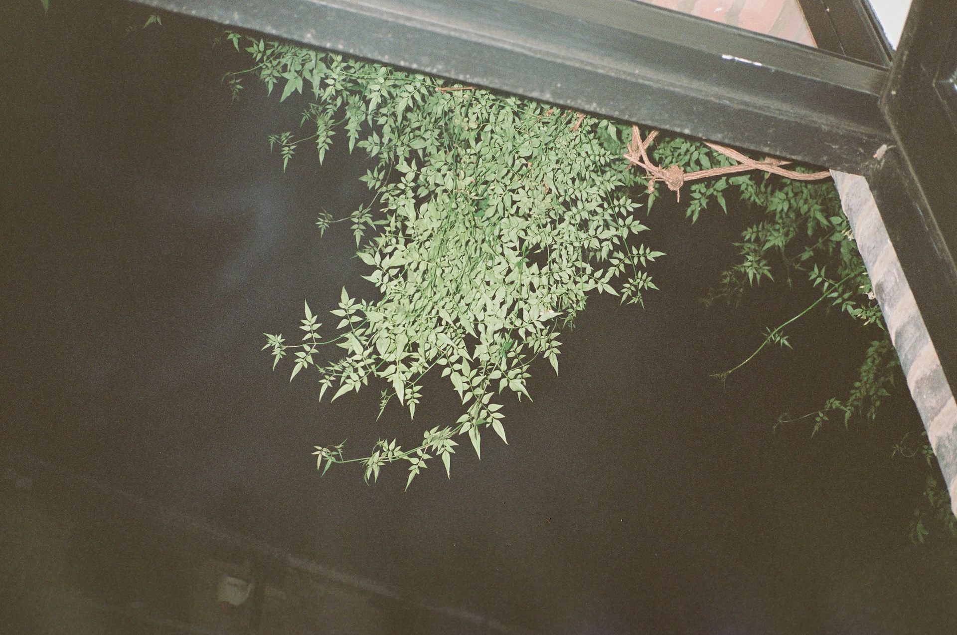places