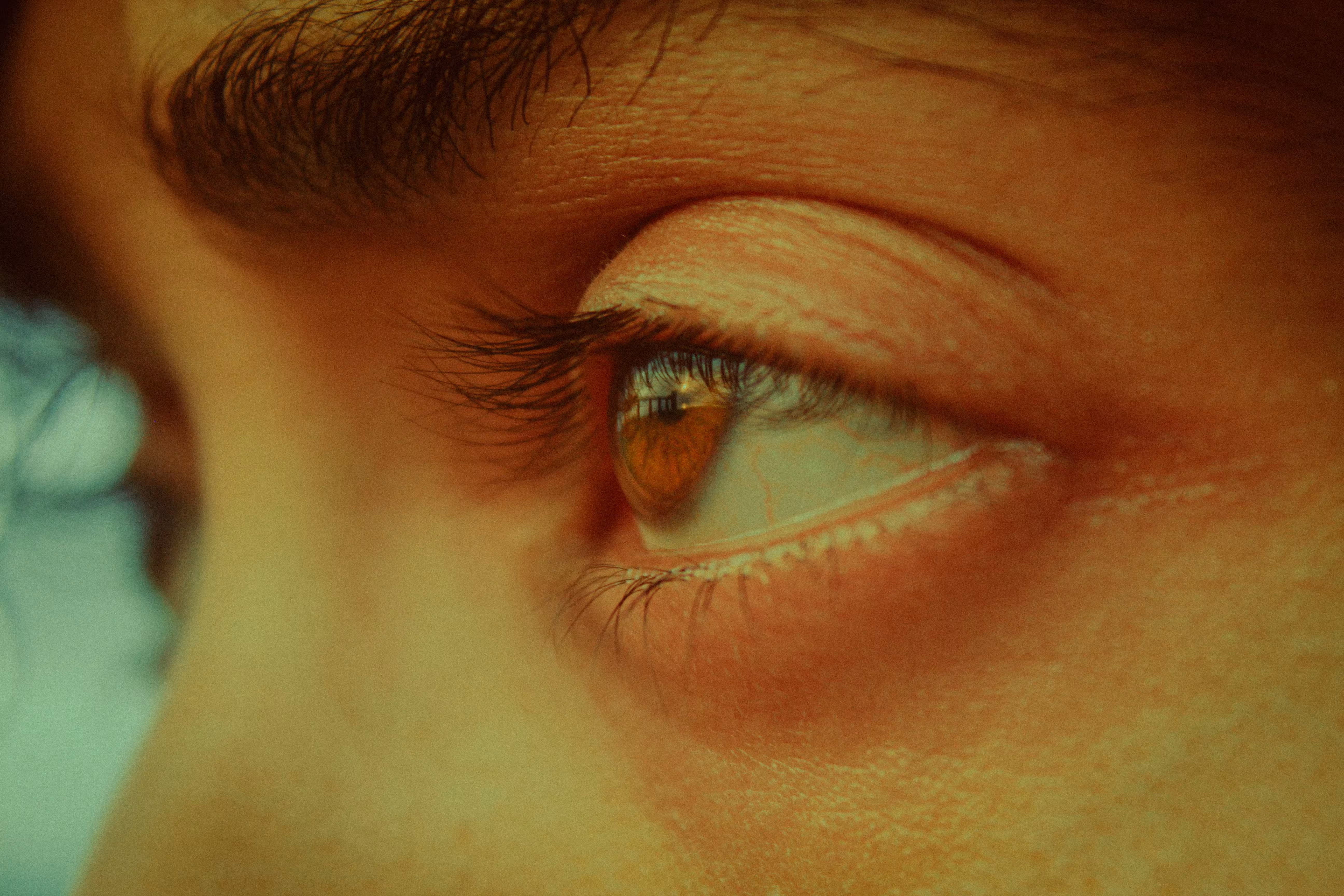 The Slow Practice of Seeing and Loving