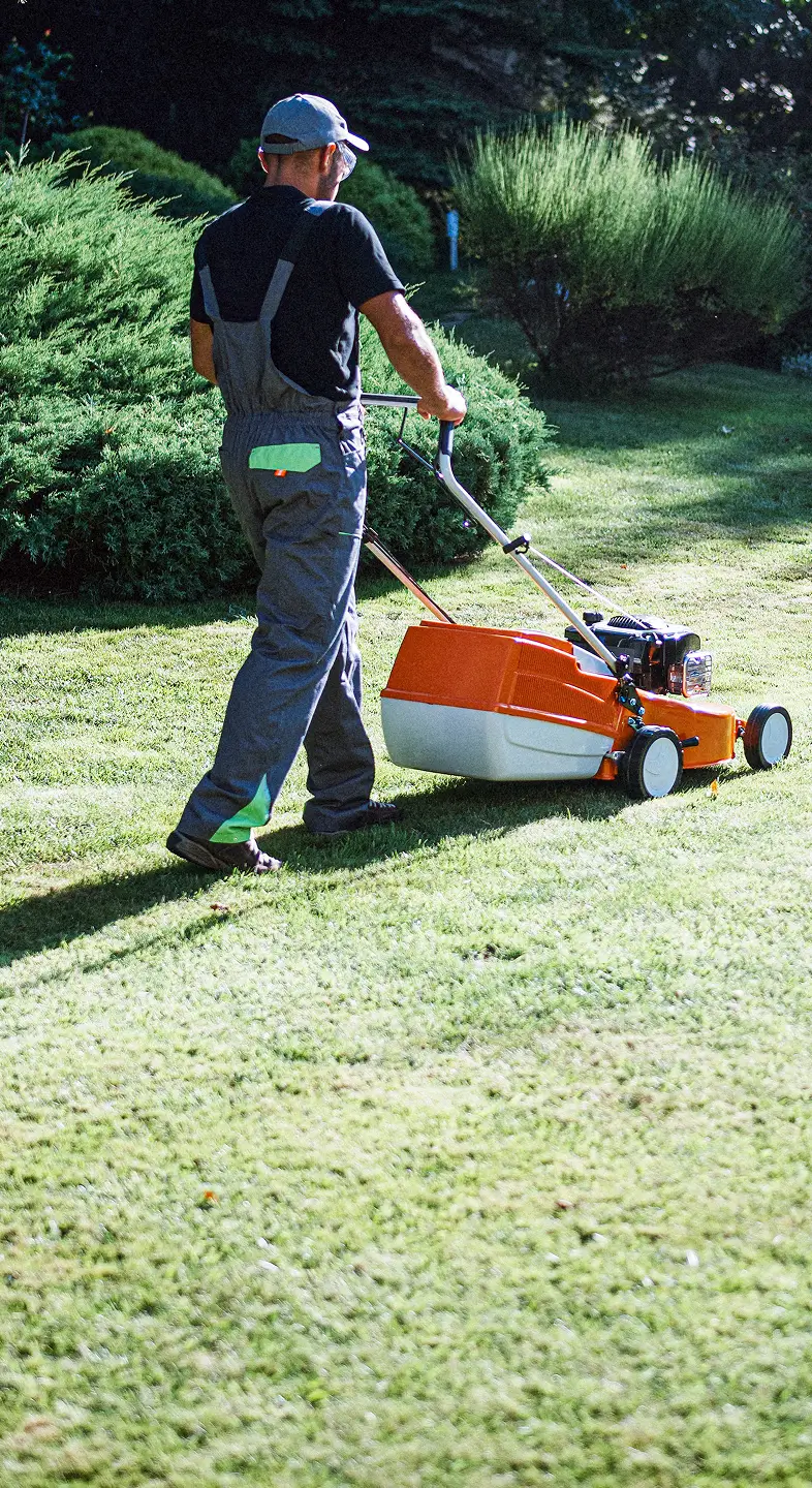 A groundskeeper or landscaper mows a large garden lawn with a petrol-powered mower on a sunny day, surrounded by well-maintained greenery.