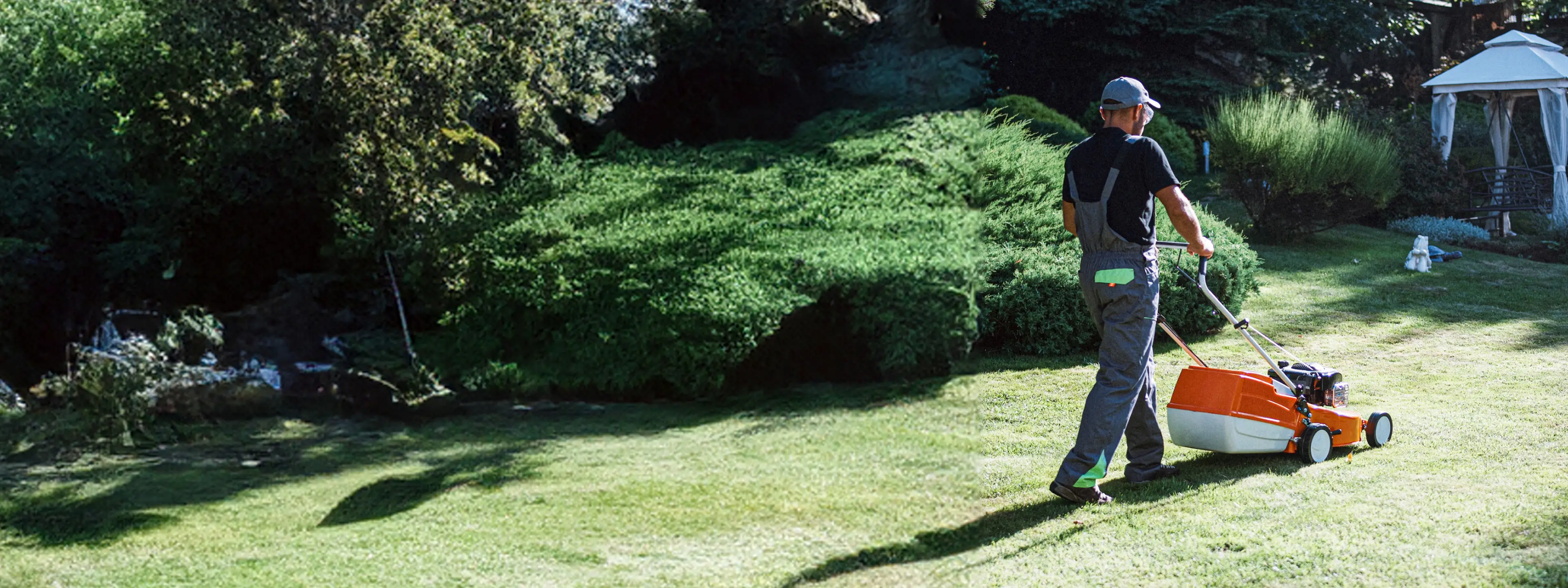 A groundskeeper or landscaper mows a large garden lawn with a petrol-powered mower on a sunny day, surrounded by well-maintained greenery.