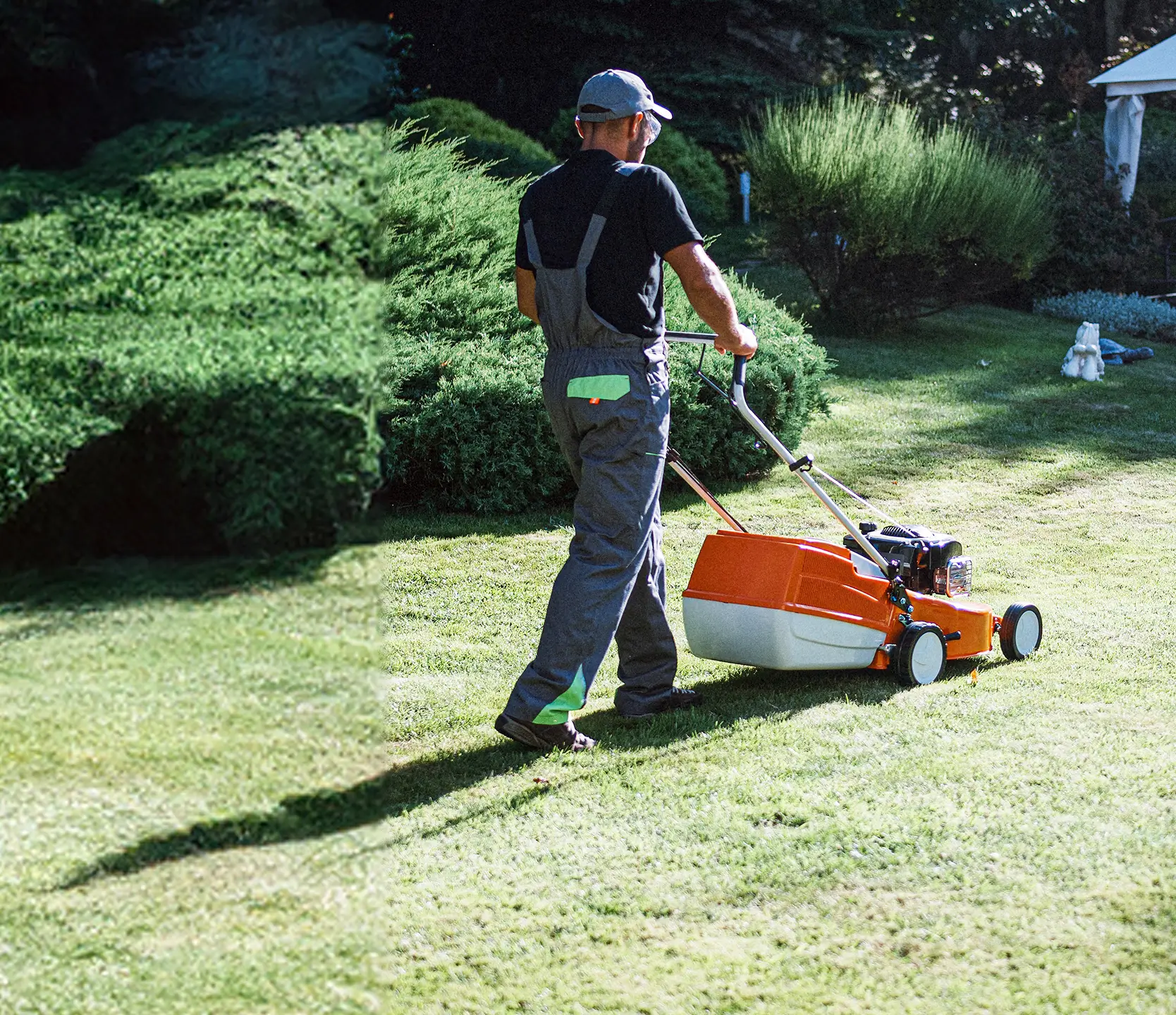A groundskeeper or landscaper mows a large garden lawn with a petrol-powered mower on a sunny day, surrounded by well-maintained greenery.