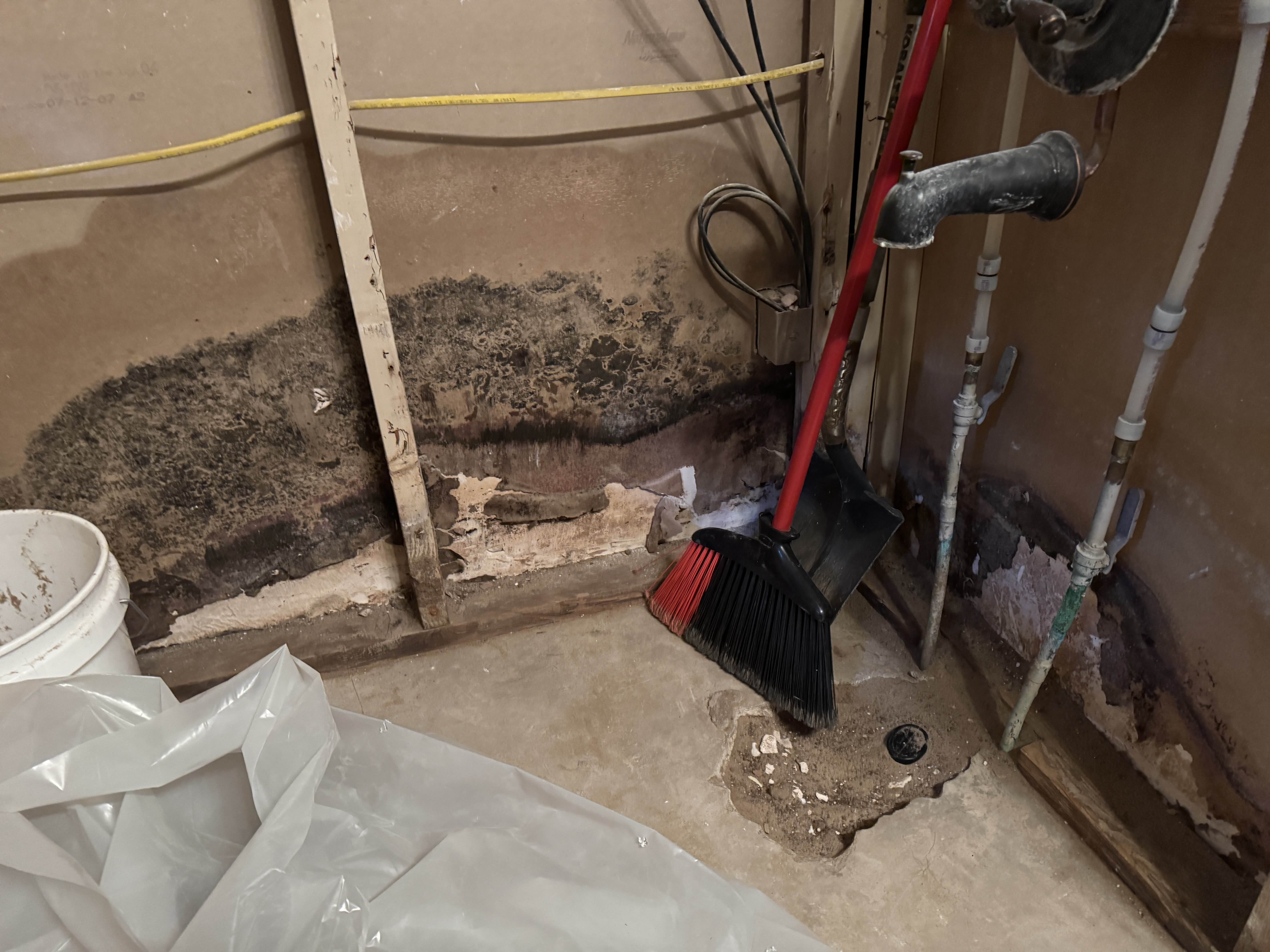 Mold awareness and home moisture education