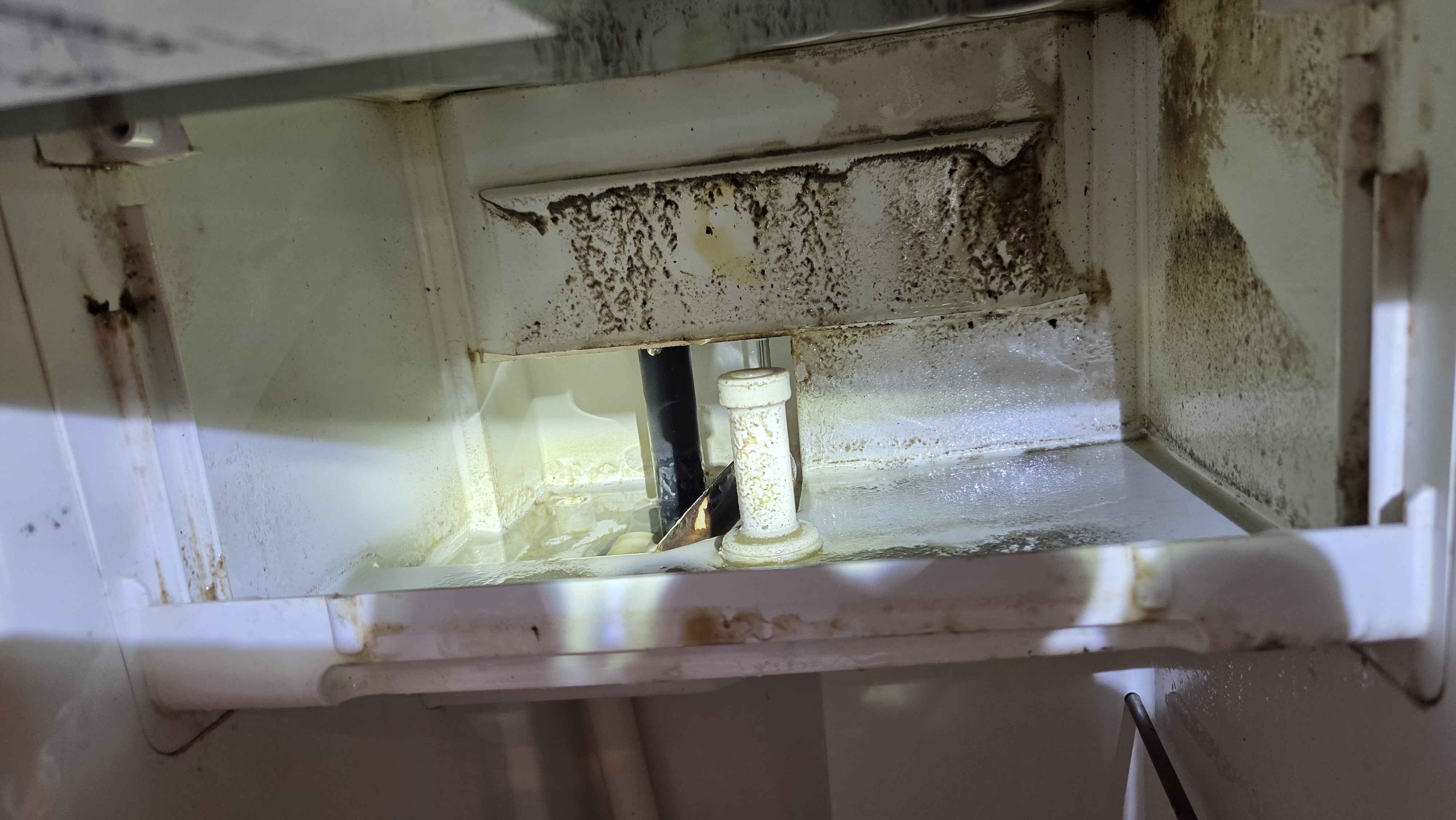 Environmental health awareness in homes, workplaces, and public facilities
