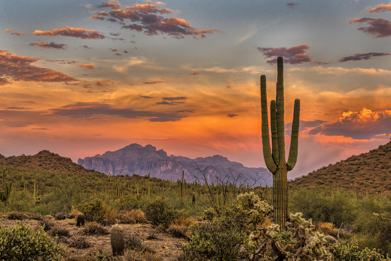 Phoenix, AZ