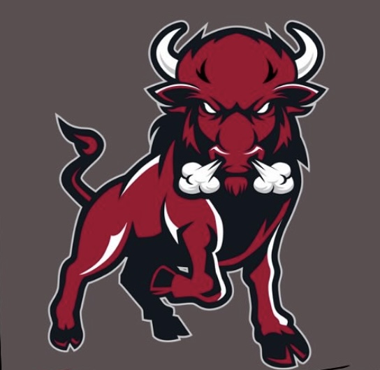 Bethel High School