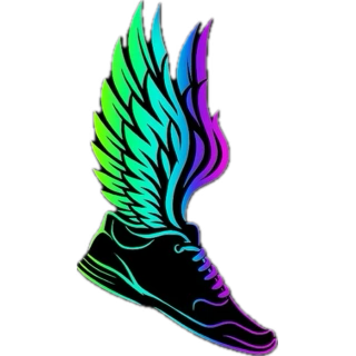 Fast Feet Elite High School Girls