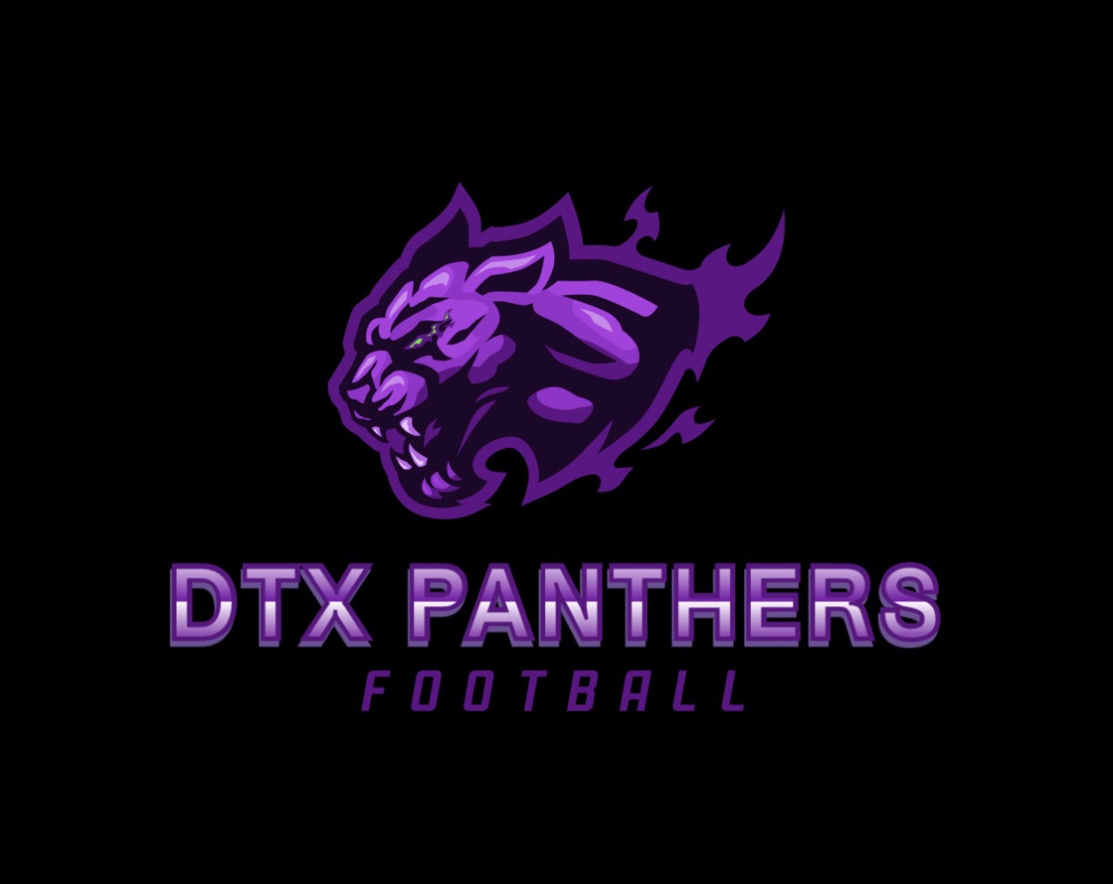 DTX Panthers 12U