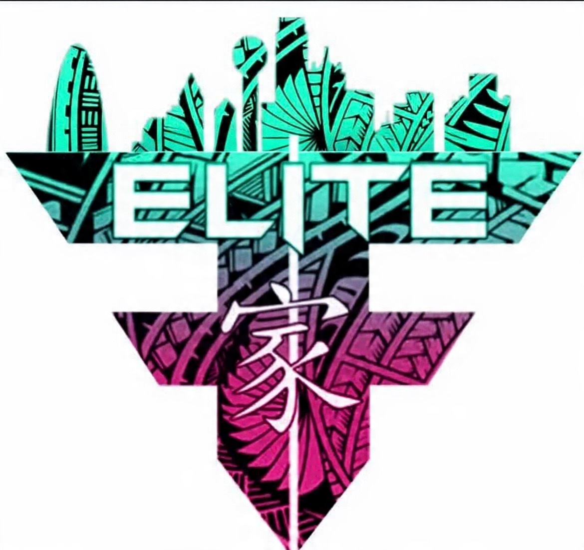 ELITE GIRLS FLAG FOOTBALL ( 6U / HS MS LEAUGE)
