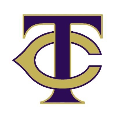 6U TC NTX Falcons Flag