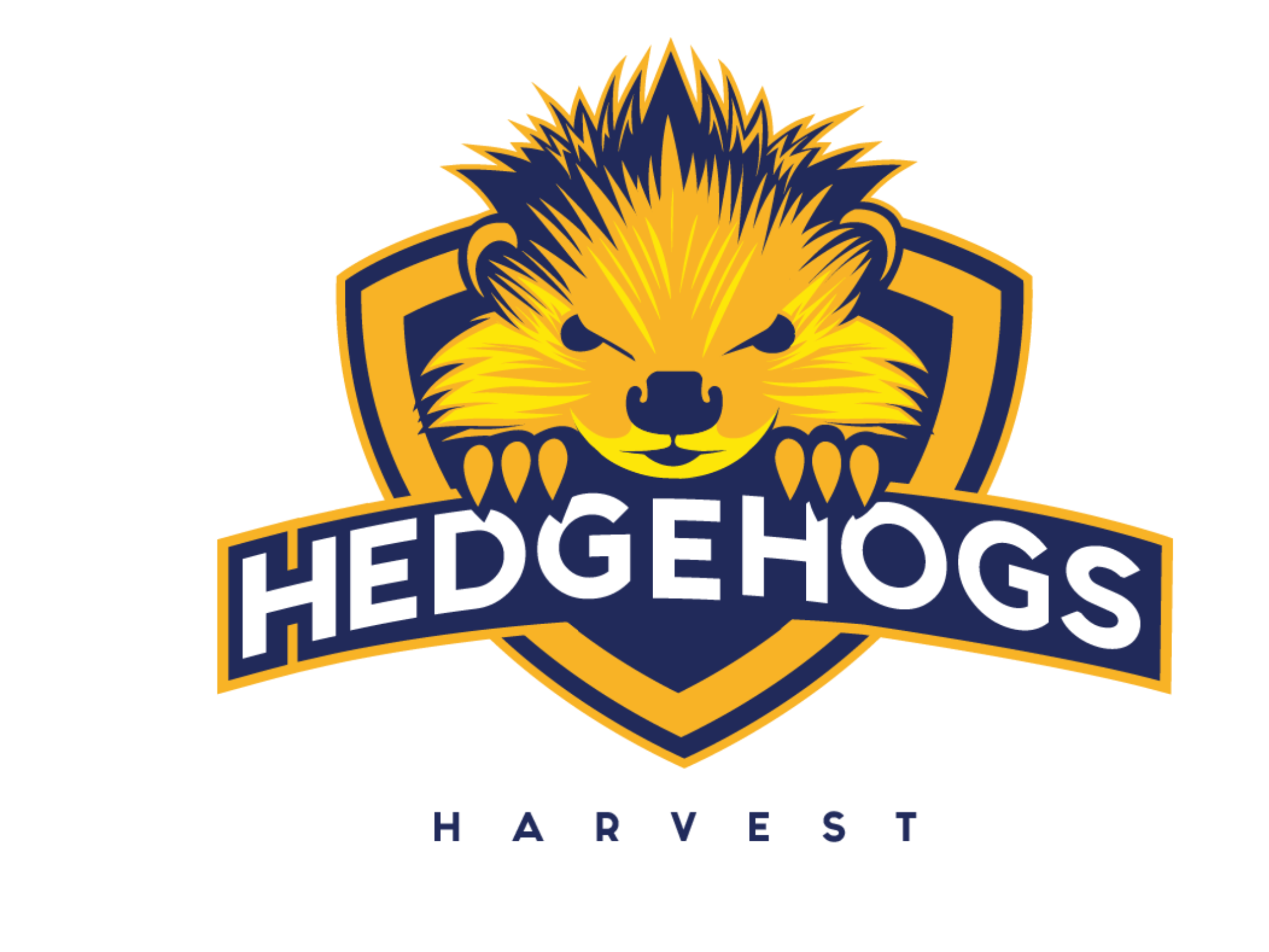 Hedgehog flag football Co-ed 9th/10th