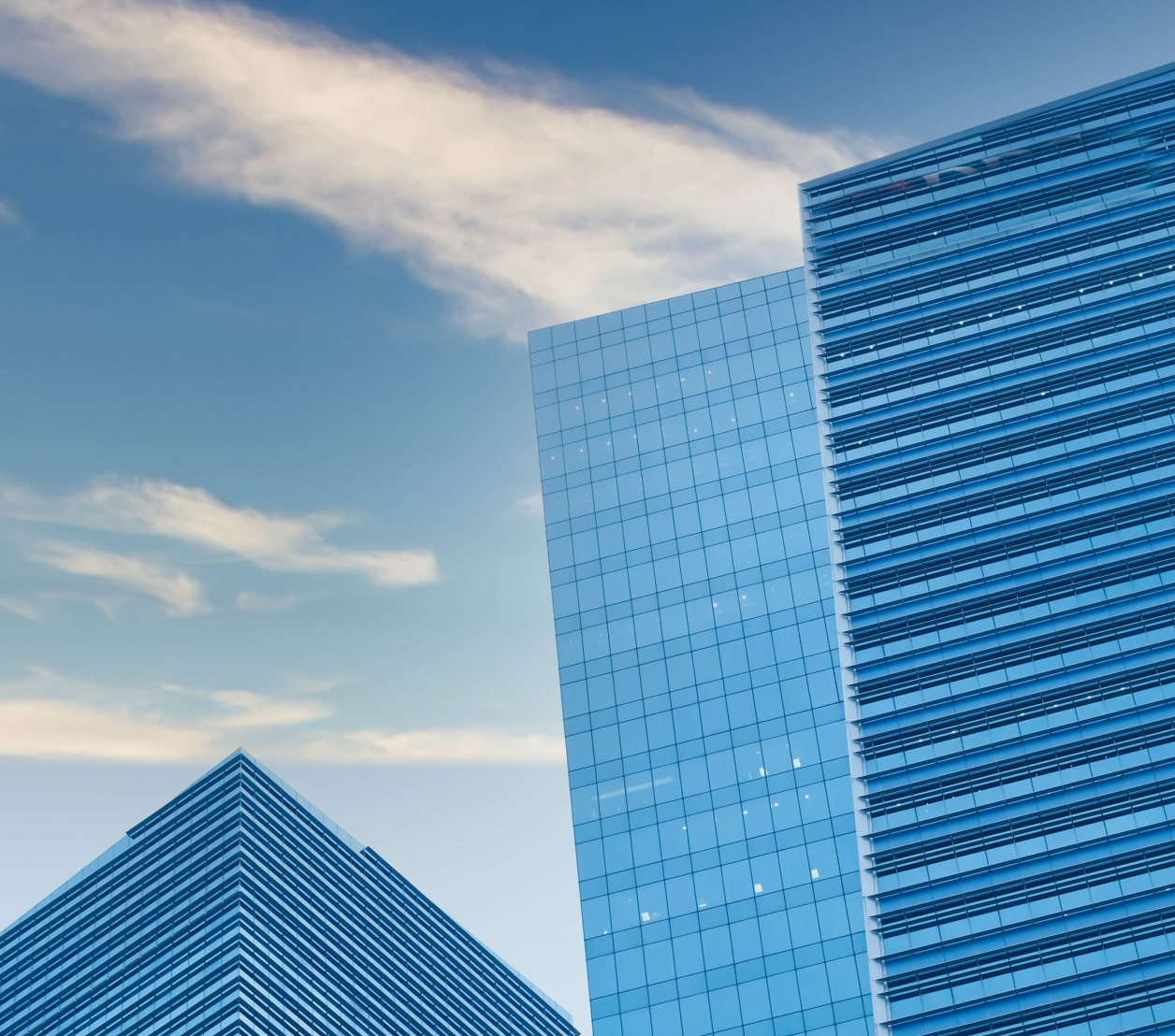 Project Details Image