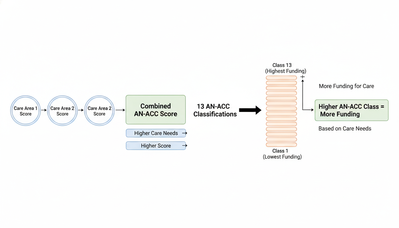 13 an-acc classifications