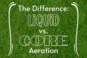 Core Aeration vs. Liquid Aeration: What Actually Works