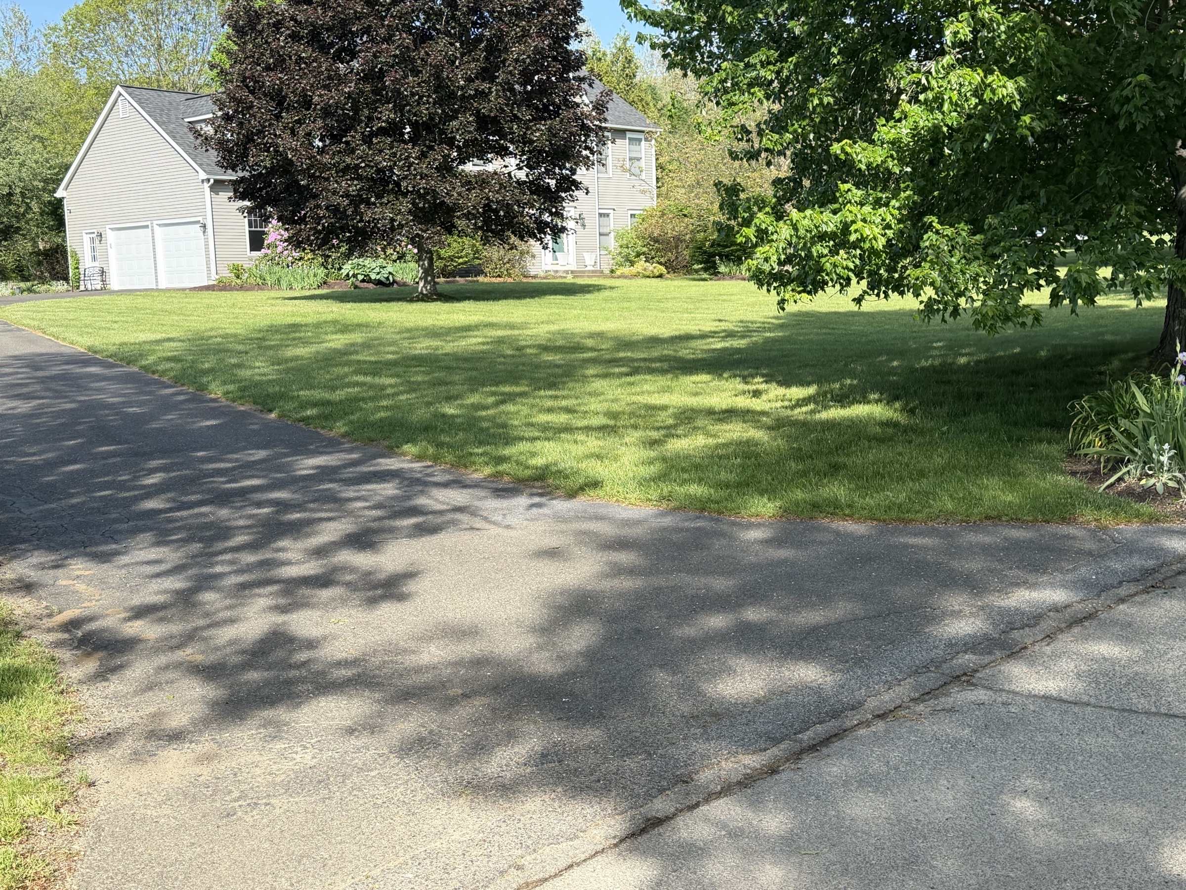Woodbury, CT Lawn fertilized with no weeds.