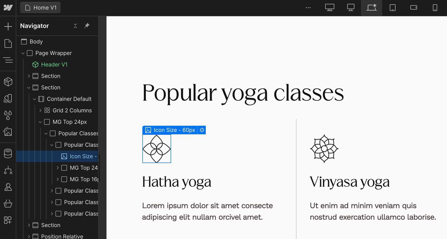 Icons And Graphics - Yogastic X Webflow Template