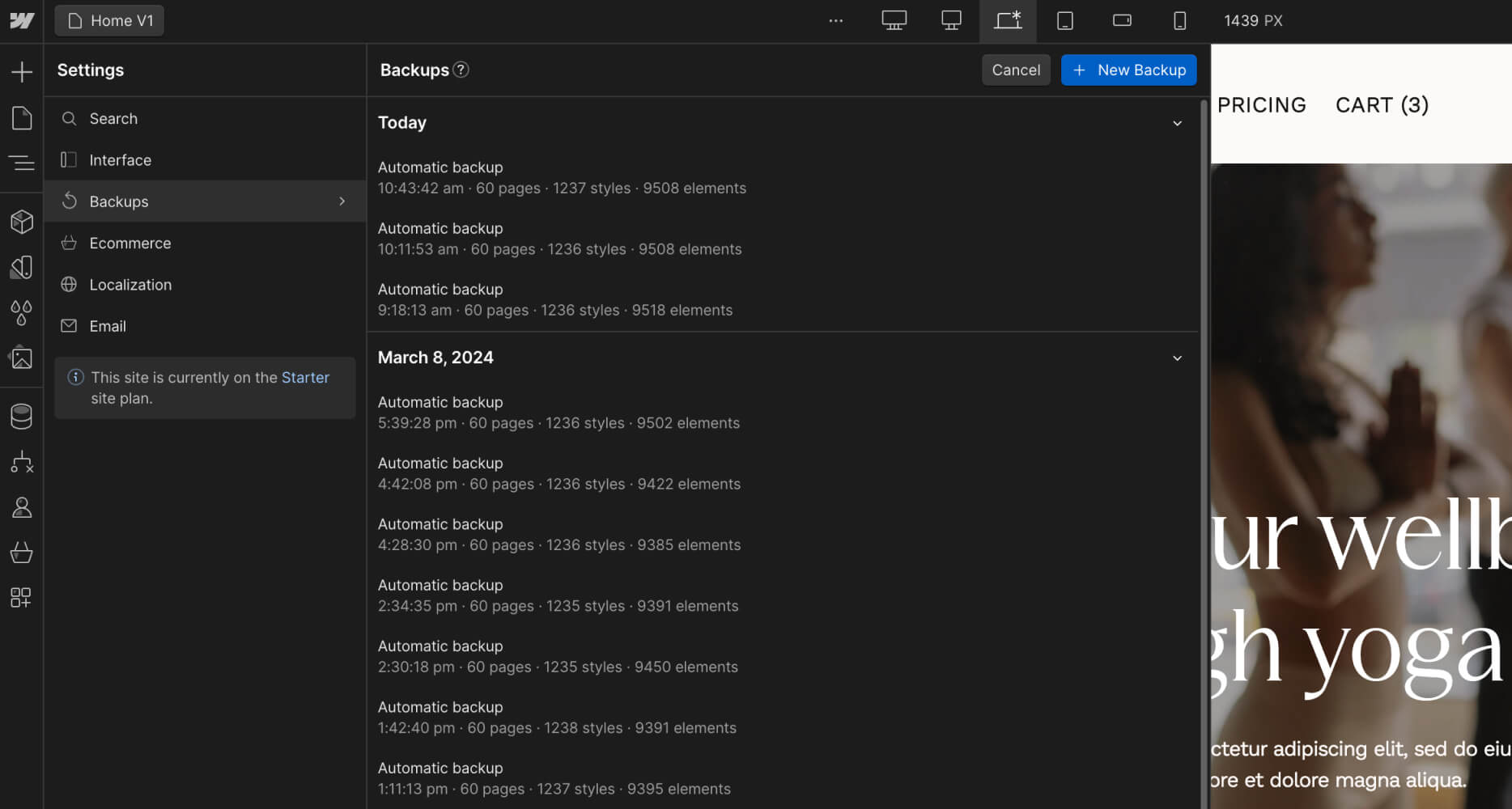 Backups - Yogastic X Webflow Template