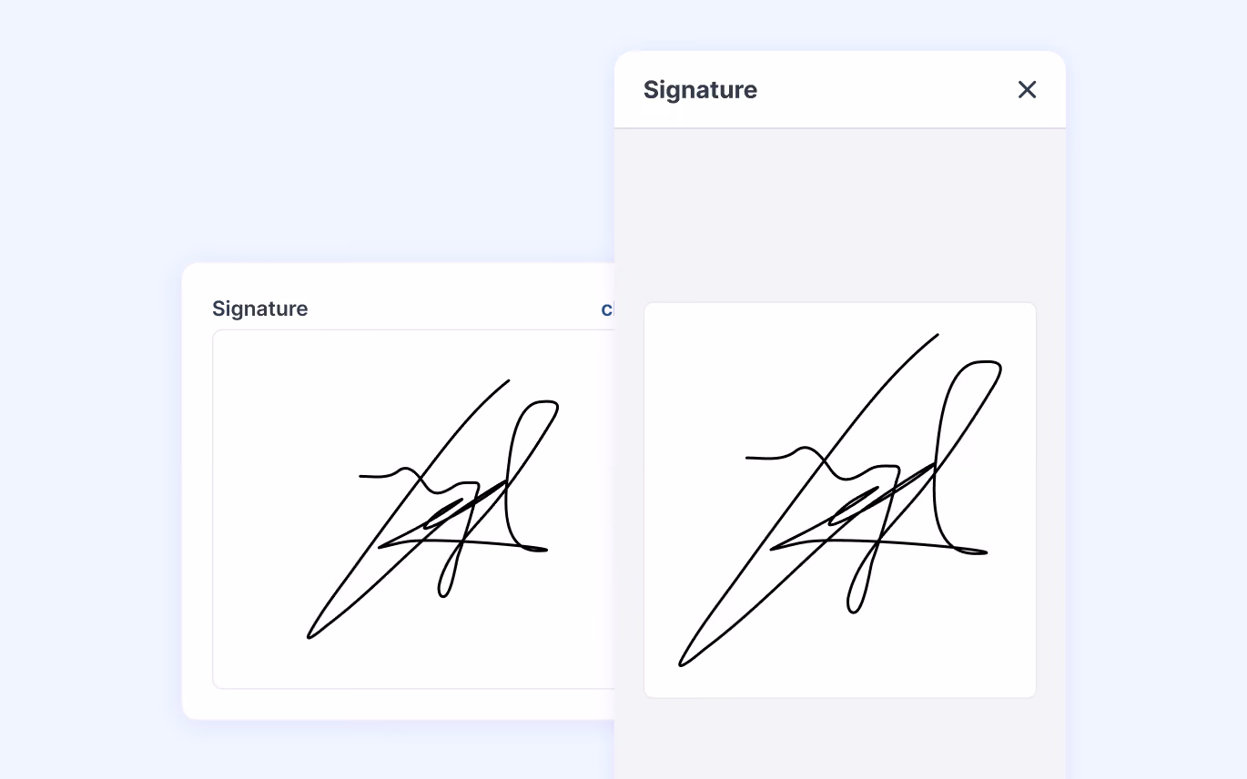 MoreApp Signature field