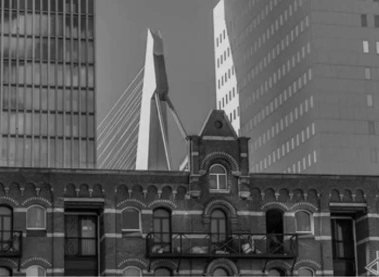 foto van Rotterdam met de Erasmusbrug in de achtergrond