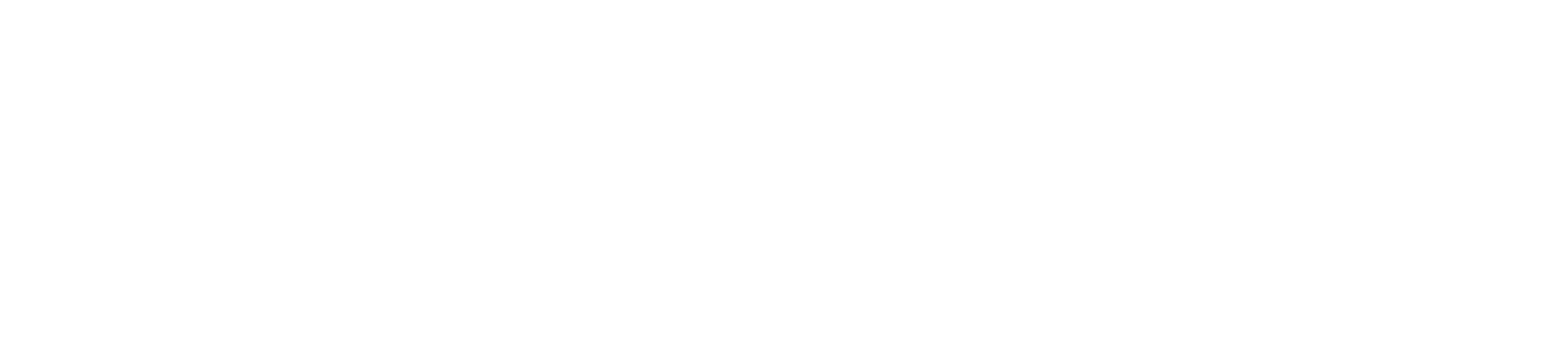 NEMOSFLOW