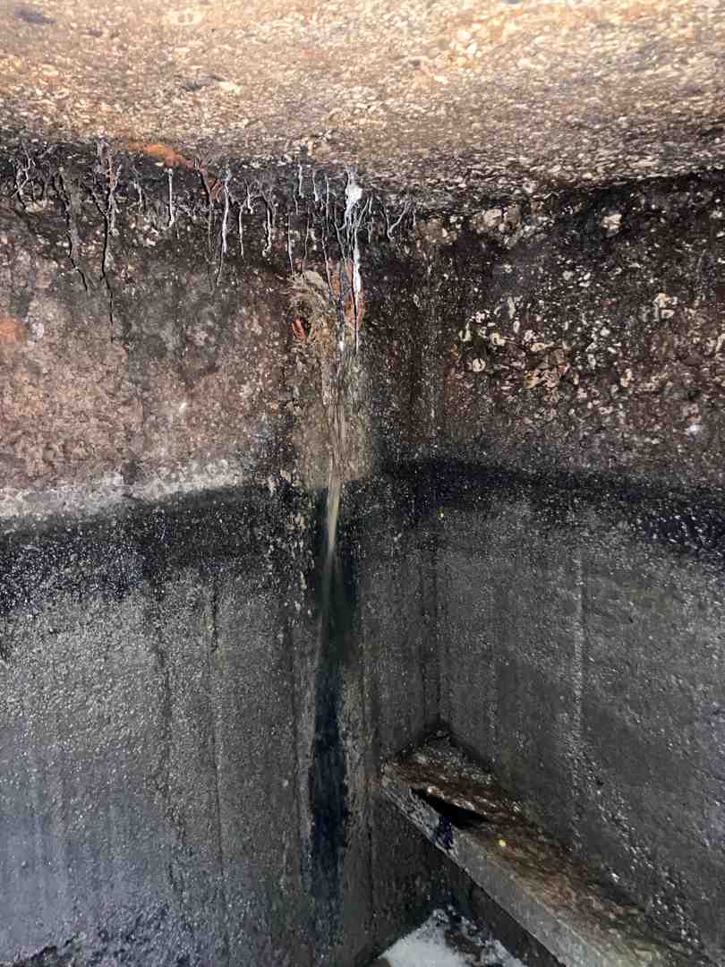 Infographic showing the top 5 signs of a plumbing emergency: visible water stains on walls or ceilings, foul sewage odors from drains, gurgling sounds from pipes, sudden drop in water pressure throughout the home, and discolored or contaminated water from faucets - plumbing emergencies in crystal lake, il