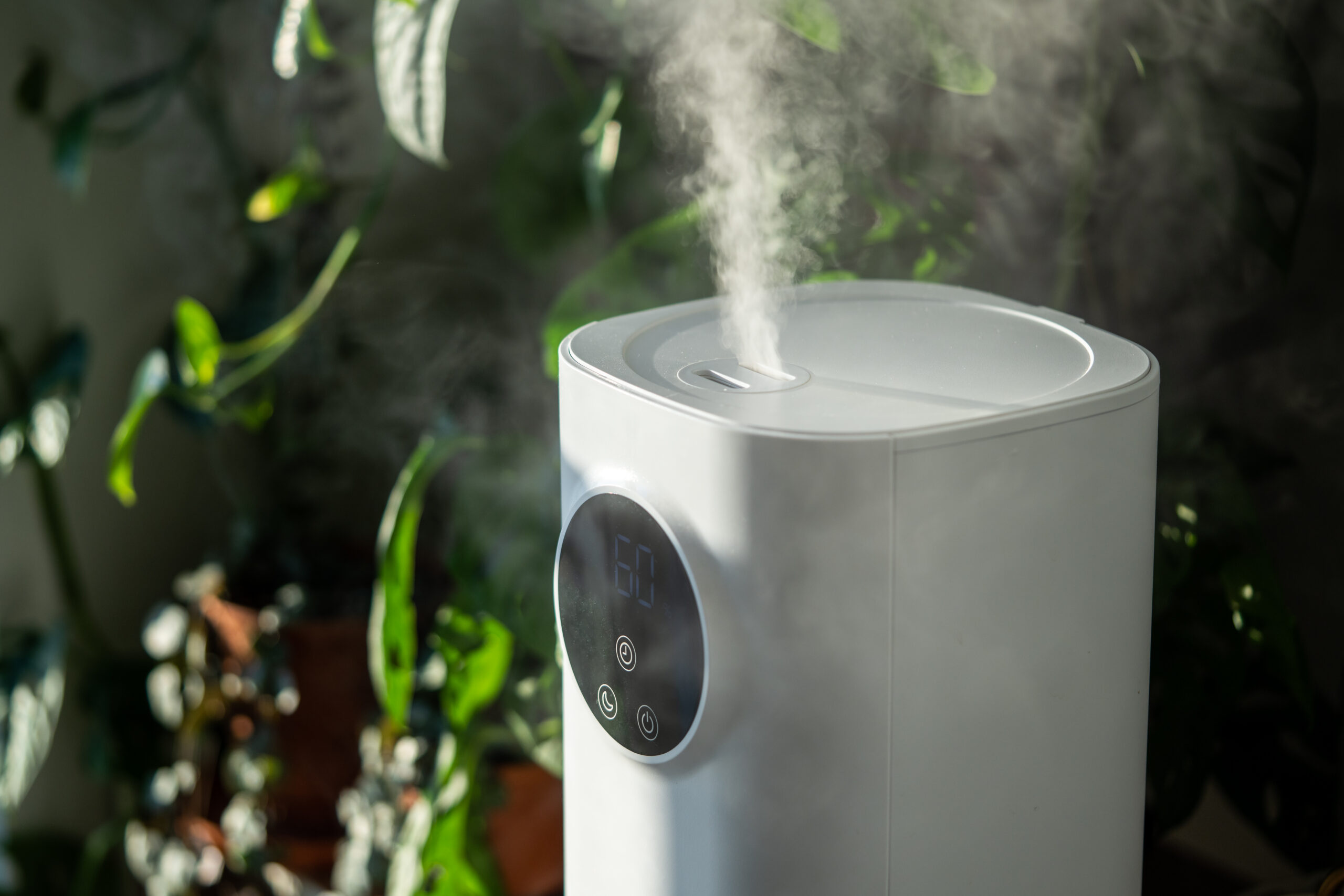 White humidifier misting among green plants.