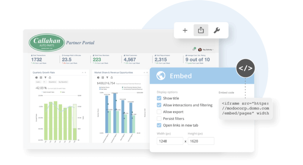 Domo Embedded BI