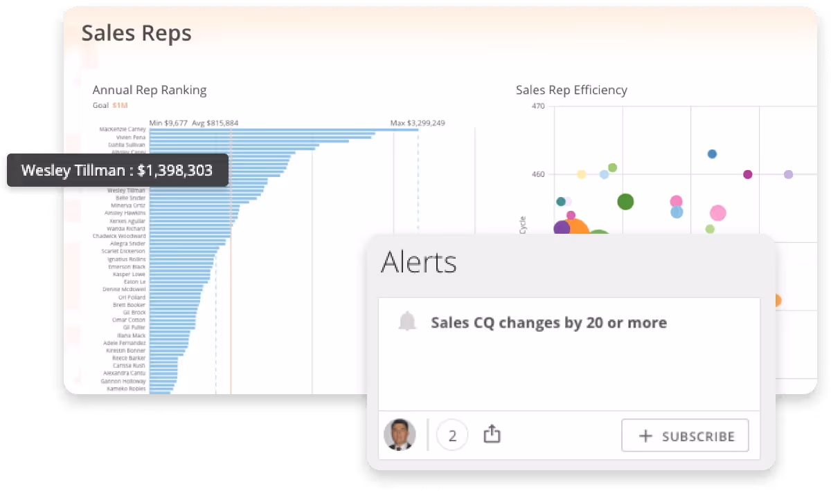 Sales efficiency report