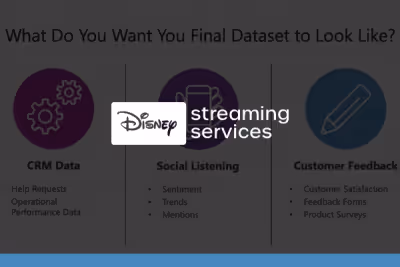 Finding the Voice of the Customer Through Integrated Datasets