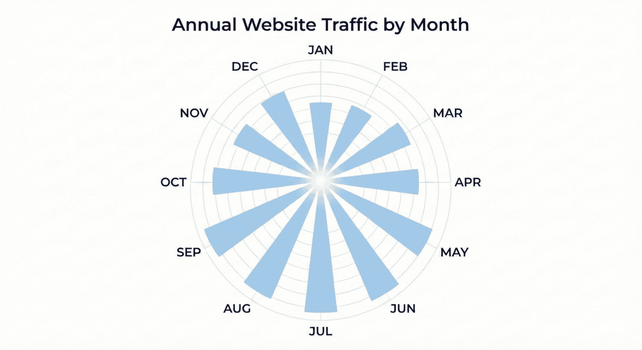 A spoke-style radial bar chart illustrates annual website traffic by month. Twelve bars radiate from the center, with longer bars for summer months showing higher traffic.