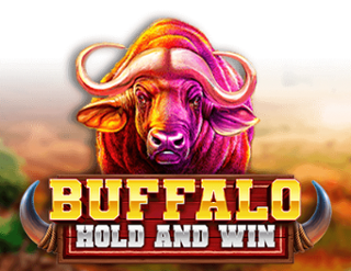 Buffalo Hold and Win by Booming Games