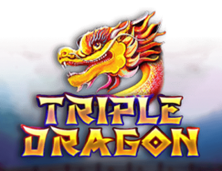 Triple Dragon by Platipus