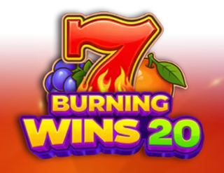 Burning Wins 20: Classics Series by NetGame Entertainment