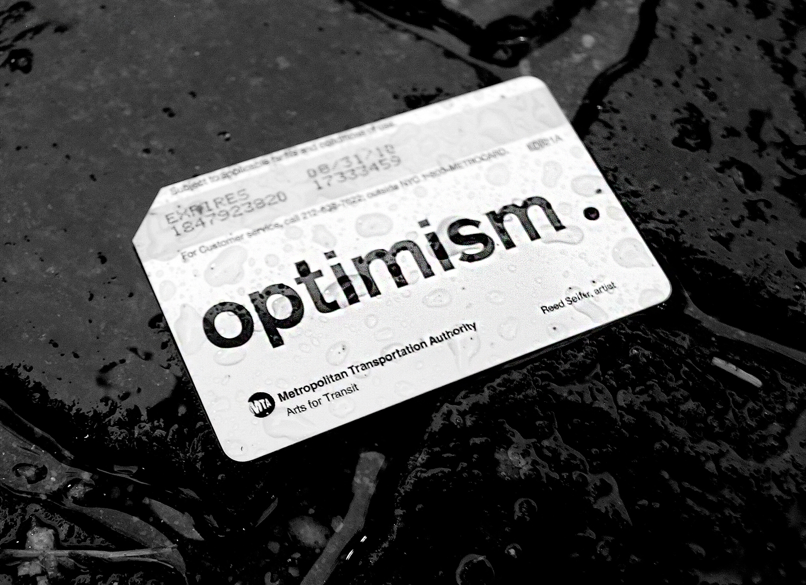 Reed Seifer: optimism