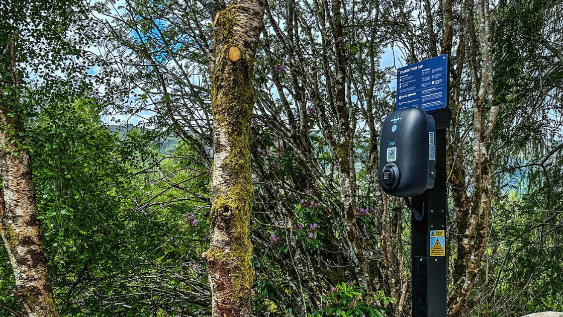 Black EV charger mounted on a post among trees and woodland