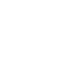 icons8-twitter-100 (1)